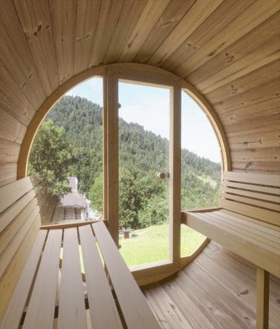 SaunaLife Model E8G Sauna Barrel Glass Front view 5