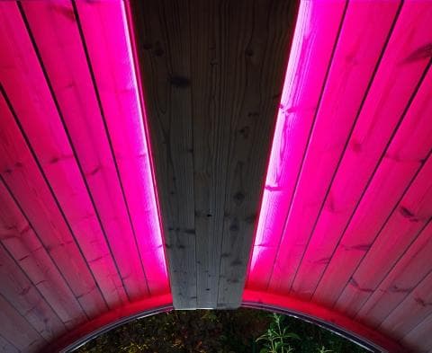 SaunaLife Emood Color Lighting for ERGO Sauna view 5