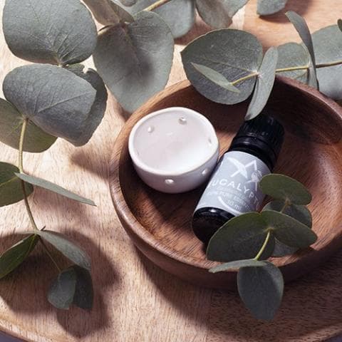 Eucalyptus Aroma Oil with Reservoir, 10 ml view 2